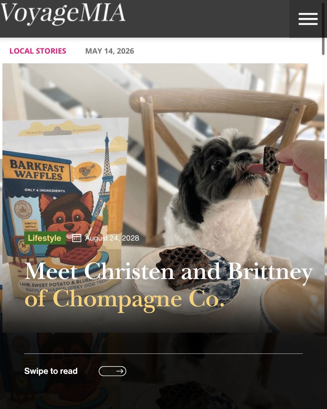 Why We Made Soft Treats for Picky, Senior & Small Dogs | Chompagne