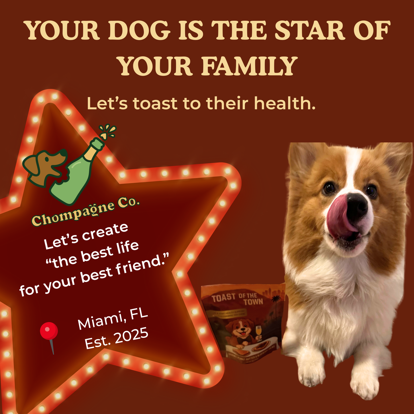 Toast of the Town - Peanut Butter & Blueberry Dog Hip & Joint Chews with Glucosamine 5oz