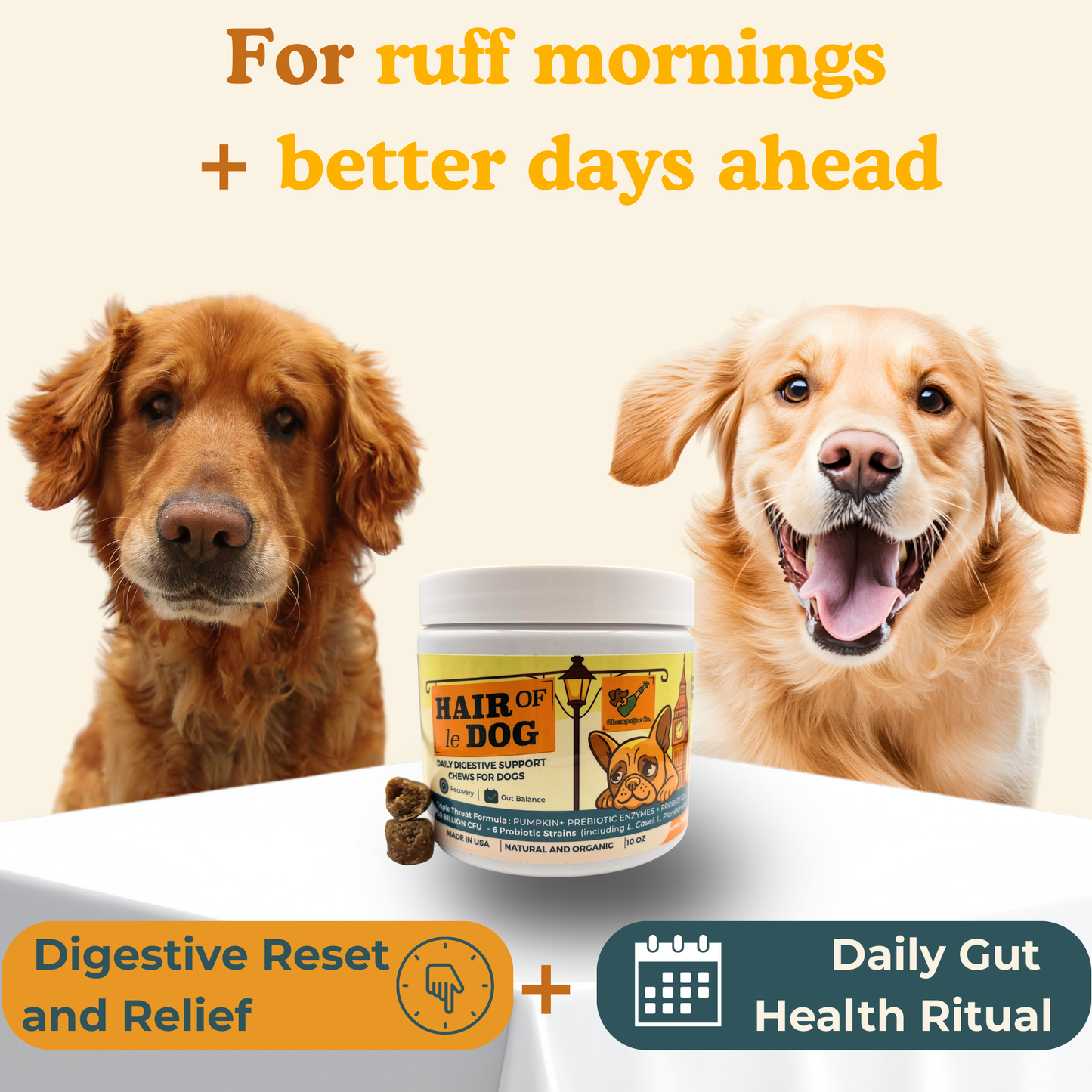 Hair of le Dog - Canine Digestive Health Probiotic Chews 10oz