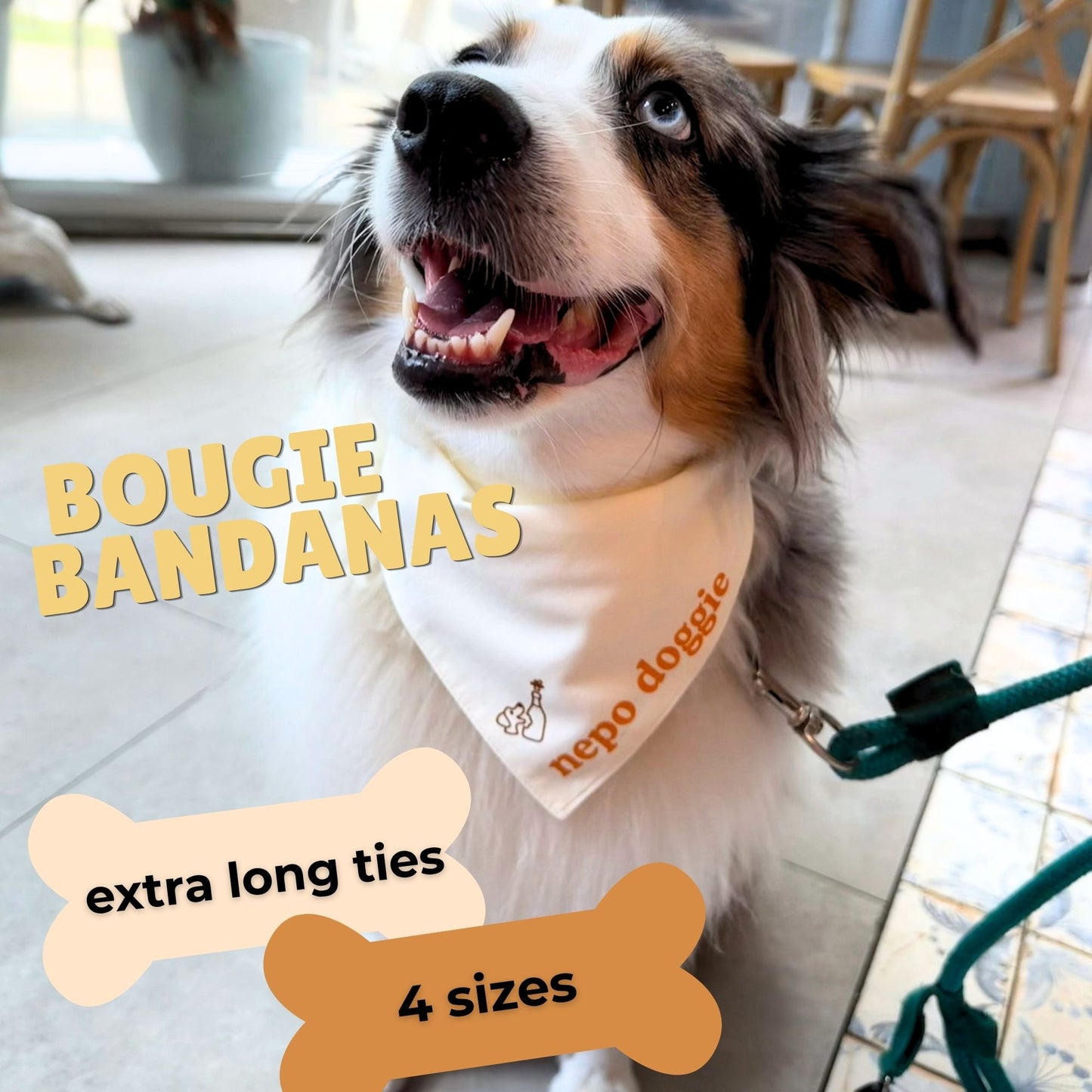 Bougie Dog Bandanas - Brunch Bib, Bougie AF & Nepo Doggie