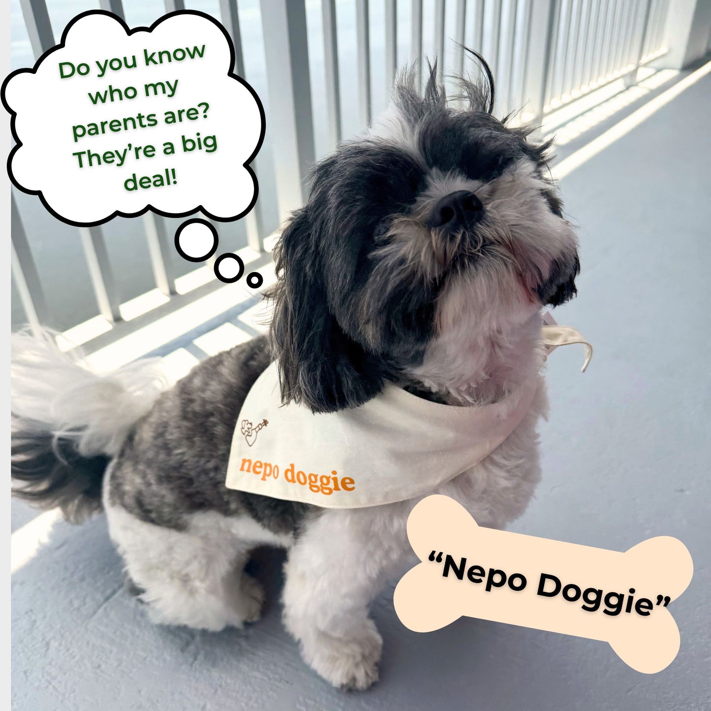 Bougie Dog Bandanas - Brunch Bib, Bougie AF & Nepo Doggie